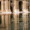 Download track Haydn: Violin Concerto No. 1 In C Major, Hob. VIIa: 1: I. Allegro Moderato