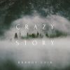 Download track Crazy Story