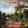 Download track Serenade For Strings, Op. 22, B. 52: V. Finale. Allegro Vivace