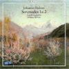 Download track 8. Serenade No. 2 In A Major Op. 16 - 2. Scherzo: Vivace