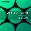 Download track The Secret (Original Mix)