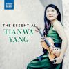 Download track Violin Sonata In A Minor, Op. 27 No. 2: I. Prelude 