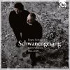 Download track Schubert - Schwanengesang, D. 957 - V. Aufenthalt