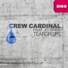 Download track Teardrops (Extended Mix)