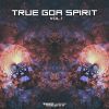 Download track True Goa Spirit Vol. 1 (Continuous DJ Mix)