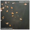 Download track Seven Days Walking / Day 1: Einaudi: Seven Days Walking / Day 1 - Ascent