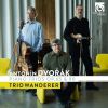 Download track 4. Piano Trio In E Minor Op. 90 Dumky - IV. Andante Moderato Quasi Tempo Di M...