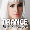 Download track Librarian (Radio Edit)