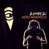 Download track Zambezi