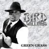 Download track Green Grass