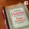 Download track Piano Concerto No. 2 In B-Flat Major, Op. 19 Fidelio, Op. 72 Gott! Welch Dunkel Hier! In Des Lebens Frühlingstagen