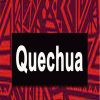 Download track Quechua (Bass Boosted)