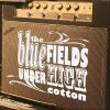 Download track Fields Of Blue
