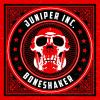 Download track Boneshaker