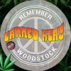 Download track Remember Woodstock (Remastered)
