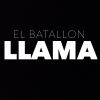 Download track Llama