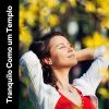Download track Calm Music To Relax, Pt. 9