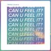 Download track Can U Feel It? (Extended Mix)