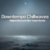 Download track The Missing Link (Chillwave Mix)