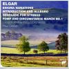 Download track Serenade For String In E Minor Op 20 Allegro Piacevole