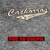 Download track Fue Tu Culpa
