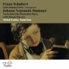Download track Sonata For Cello And Piano In A Minor, D. 821 Arpeggione III. Allegretto