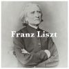 Download track Liszt, Verdi: Aida - Danza Sacra E Duetto Finale, S436 (After Verdi)