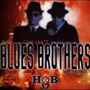 Download track Blues, Why, You Worry Me? The Blues Brothers