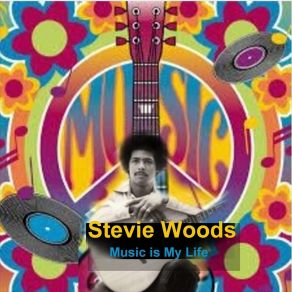 Download track A Different Kind Of Love Song Stevie Woods