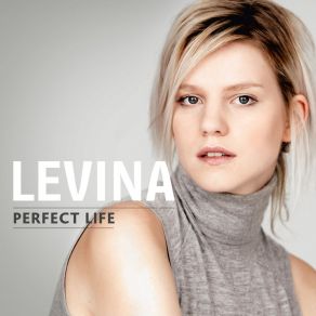 Download track Perfect Life Irwin Levine