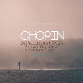 Download track Préludes, Op. 28, B. 107: No. 22, Molto Agitato Pavle Krstic