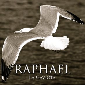 Download track La Gaviota Raphael
