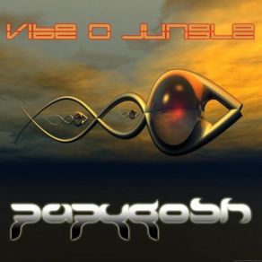 Download track Vibe O Jungle Izo 06 12 06 Papygosh