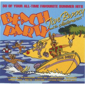 Download track In The Summertime Jive Bunny, The Mastermixers