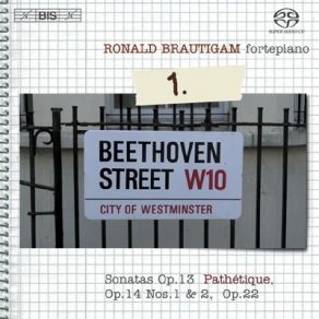 Download track 01. Piano Sonata No. 21 In C-Dur, Op. 53, 'Waldstein' - I. Allegro Con Brio Ludwig Van Beethoven