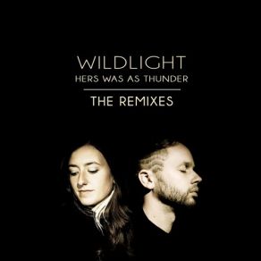 Download track Save My Mind For Later (Meiwenti Remix) WildlightMeiwenti
