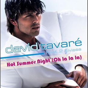 Download track Hot Summer Night (Original) David Tavare