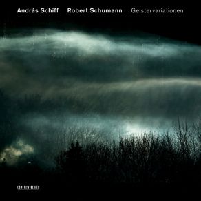 Download track Schumann: Piano Sonata No. 1 In F Sharp Minor, Op. 11 - I. Introduzione. Un Poco Adagio - Allegro Vivace András Schiff