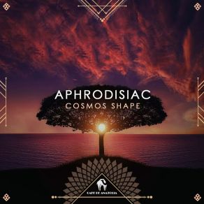 Download track Aphrodisiac Bassam Rady