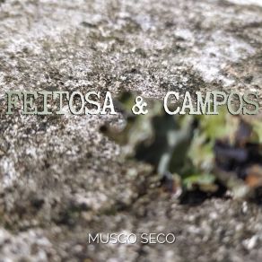 Download track Siga Feitosa E Campos