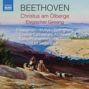 Download track 3. Aria Jesus: No. 3 Meine Seele Ist Erschüttert Ludwig Van Beethoven
