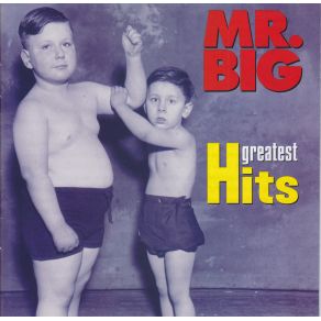 Download track Daddy, Brother, Lover, Little Boy (The Electric Drill Song)  Mr. Big
