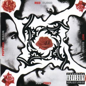 Download track I Could Have Lied The Red Hot Chili Peppers