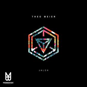 Download track Jaleh (Moonbootica Remix) Theo MeierMoonbootica