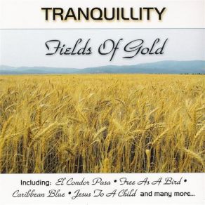 Download track Fields Of Gold Paul Brooks