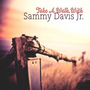 Download track Once A Lifetime Sammy Davis Jr