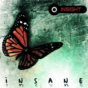 Download track Insane (After The Rain Remix) The Insight