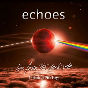 Download track Money (Live) Echoes