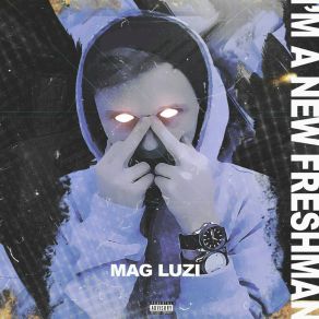 Download track New Level Mag Luzi