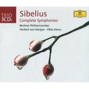 Download track 5. Sibelius Symphony No. 3 In C Major Op. 52 - I. Allegro Moderato Jean Sibelius